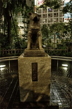 Hachiko estatua