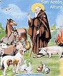 Los animales reciben la bendición por San Antón