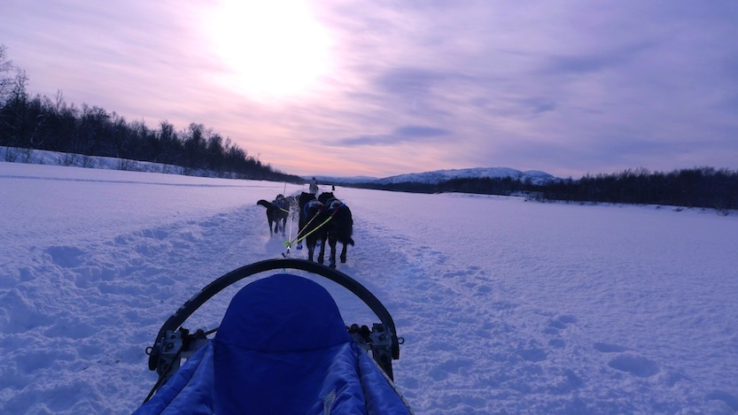 Arranca la Finnmarksløpet, la carrera de trineos de perros más larga y septentrional de Europa