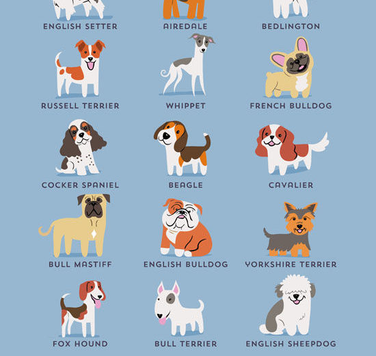 ¿Cuántas razas de perros hay en el mundo?