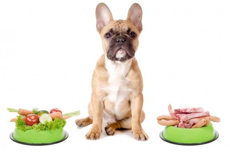 Nutrientes que no pueden faltar en la comida del perro