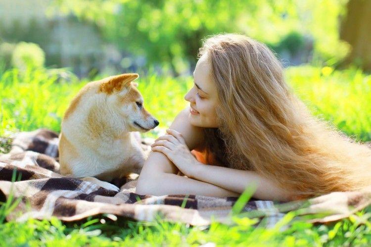 ¿Cómo evitar la leishmaniosis en perros?