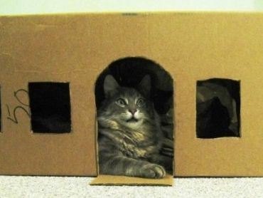 Casa para gatos