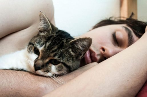 Gato durmiendo con humano