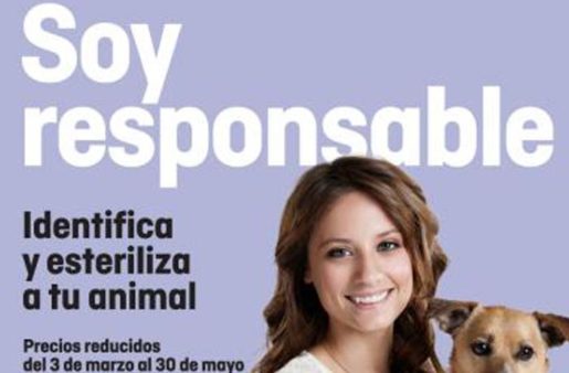Soy responsable