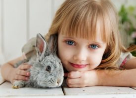 Las urgencias veterinarias más frecuentes en conejos
