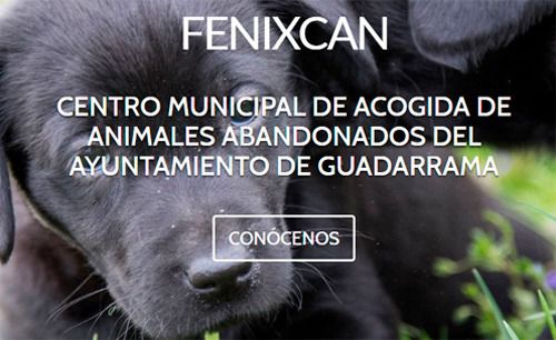 Entrevista al Centro de Protección Animal Fenixcan