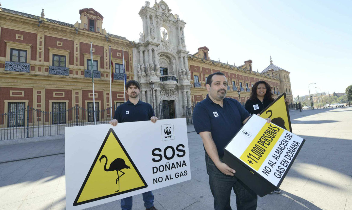Celebramos la sentencia contra los almacenes de gas de Naturgy en Doñana