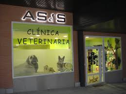 Oferta de trabajo para peluquero canino y felino – Veterinario