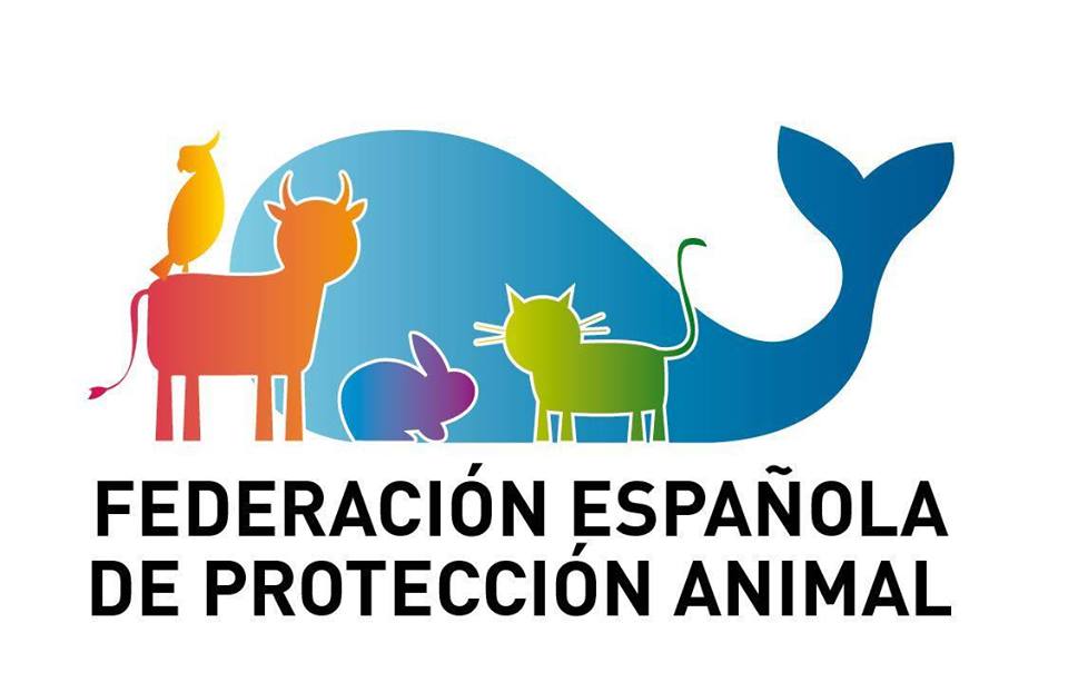 La FEPA solicita al gobierno un paquete de ayudas a las entidades de protección animal afectadas por el Estado de Alarma