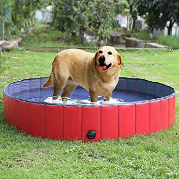 Piscinas para perros !Un baño refrescante y divertido!