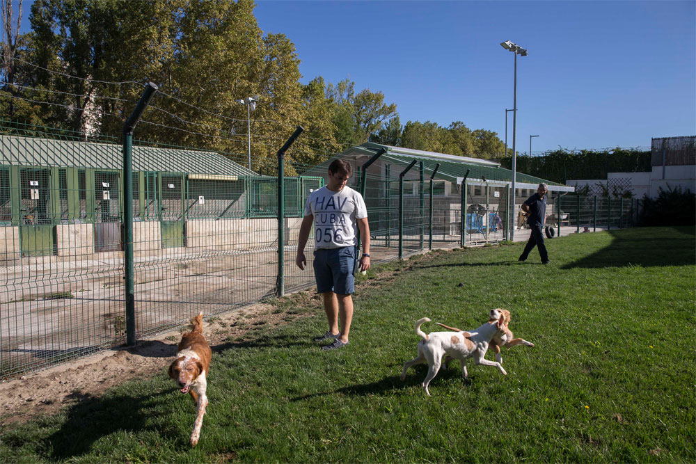 El Centro de Atención a Animales del Ayuntamiento de Pamplona suspende la campaña antirrábica de 2020