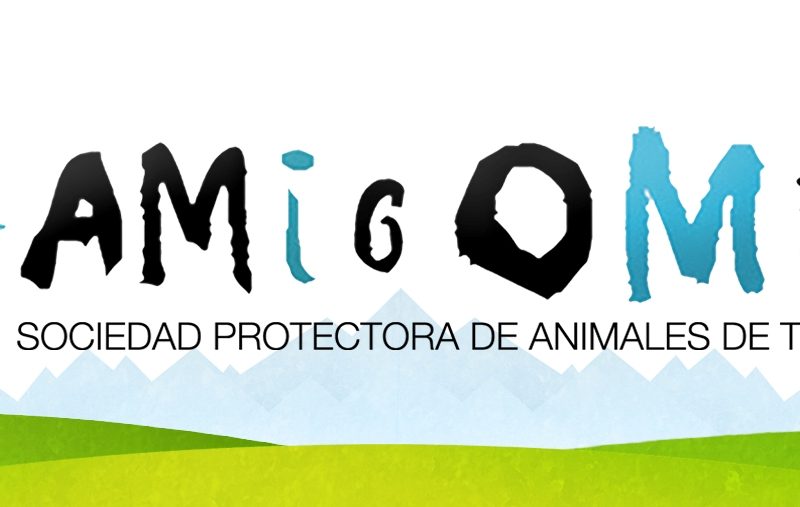 El Ayuntamiento de Teruel cede a la Sociedad Protectora de Animales de la capital el uso del albergue de perros y gatos