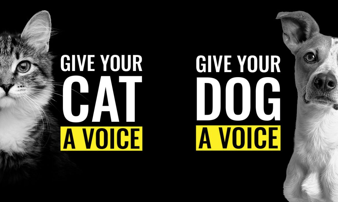 #ProtectOurFutureToo una iniciativa para ayudar a proteger el futuro de las mascotas