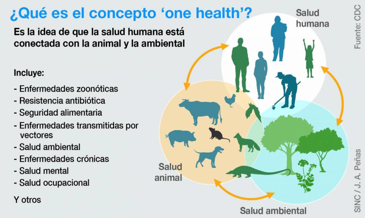 La trinidad para afrontar futuras pandemias: una sola salud humana, animal y ambiental