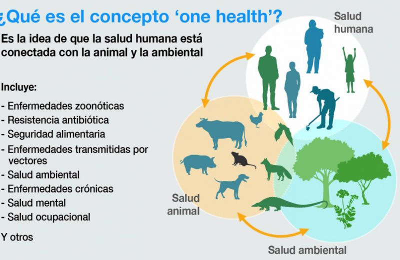 La trinidad para afrontar futuras pandemias: una sola salud humana, animal y ambiental