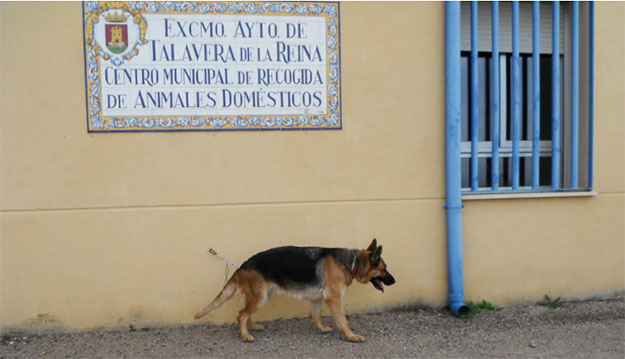 Centro de Protección Animales de Talavera