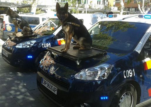 Perros policía