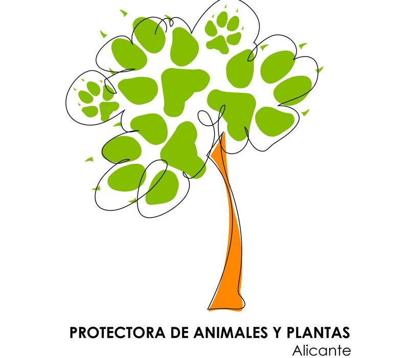Sanidad amplía un año el servicio de recogida de animales y adopción en Alicante
