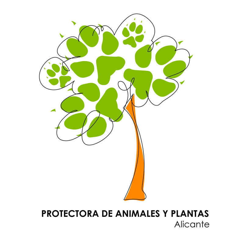 Protectora de Animales de Alicante