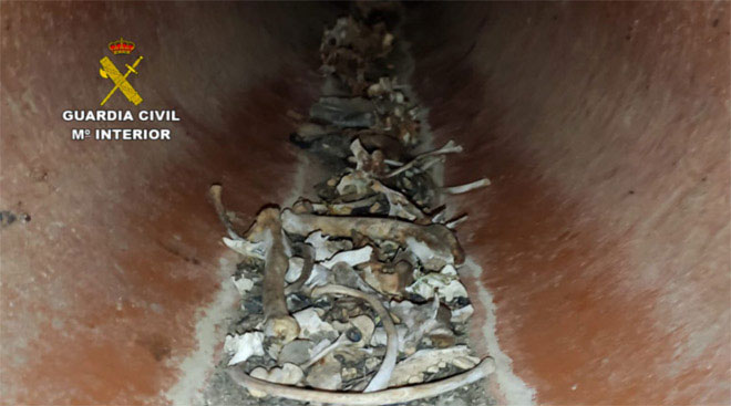 La Guardia Civil investiga en el Casar, un cementerio ilegal de animales