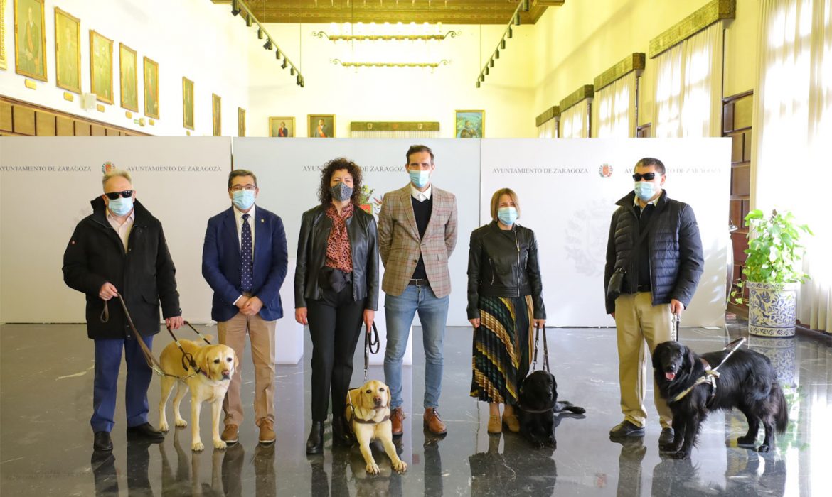 El Ayuntamiento de Zaragoza financiará el registro de ADN de todos los perros guías de la ciudad