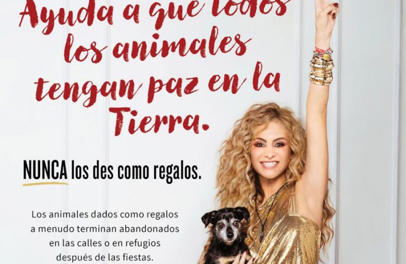 Paulina Rubio se une a la campaña de PETA para no regalar animales en Navidad