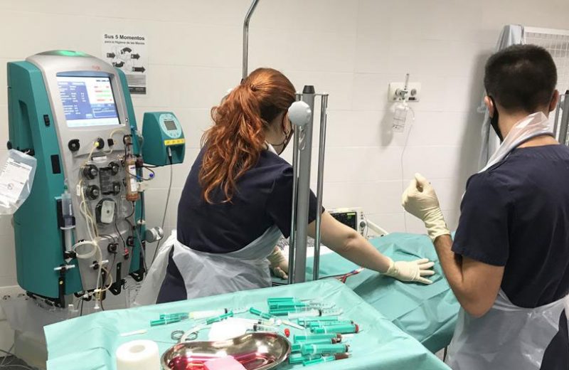 El Hospital Veterinario UCV realiza la primera plasmaféresis a un perro en España