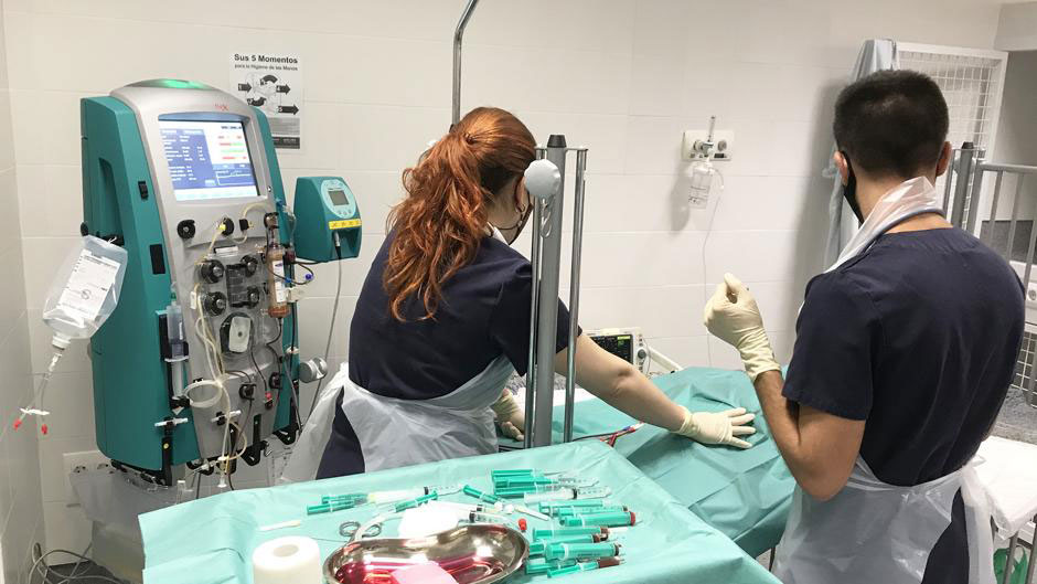 El Hospital Veterinario UCV realiza la primera plasmaféresis a un perro en España