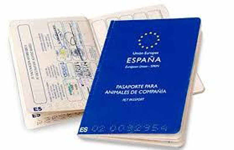 Suprimido temporalmente el servicio de pasaporte de mascotas en Asturias
