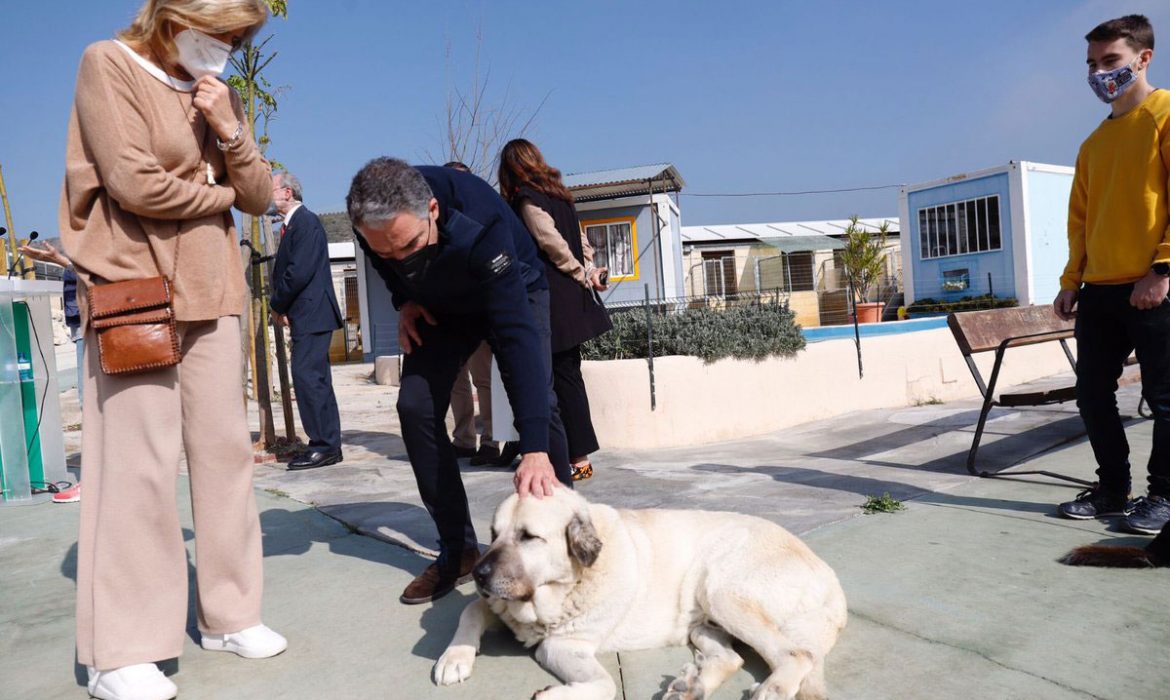 La Junta de Andalucía iniciará en marzo el trámite de la nueva Ley de Bienestar Animal de Andalucía