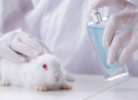 Más de un millón de personas en toda Europa firman para el fin de la experimentación de animales