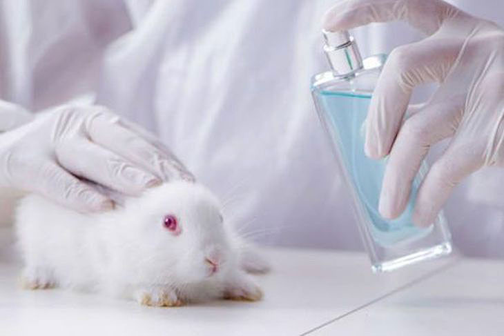 Las ONG’S solicitan a Europa que se cumpla la prohibición de no experimentar cosméticos en animales