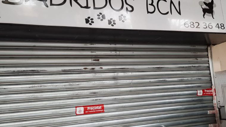 Cierre cautelar de la tienda de venta de animales Ladridos en Barcelona