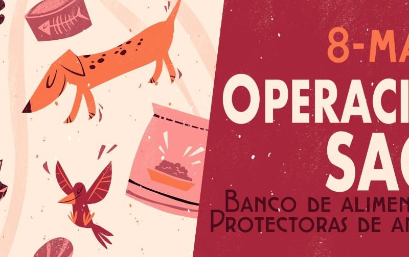 «Operación saco» de la Asociación «Más Q Perros de León»