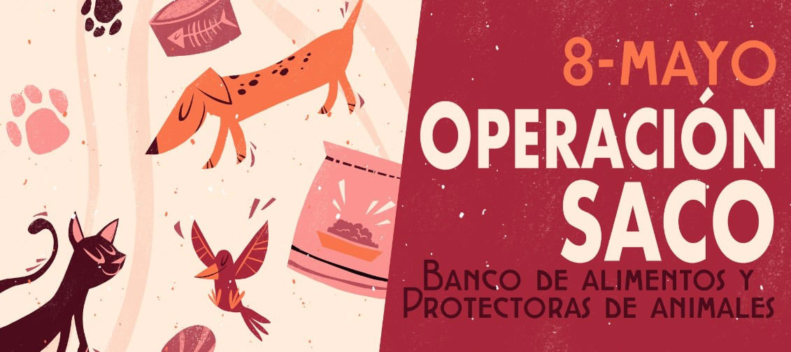 «Operación saco» de la Asociación «Más Q Perros de León»
