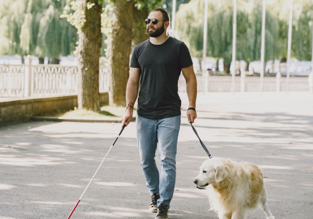 Castilla-La Mancha regulará la Ley de acceso al entorno de las personas con discapacidad acompañadas de perros