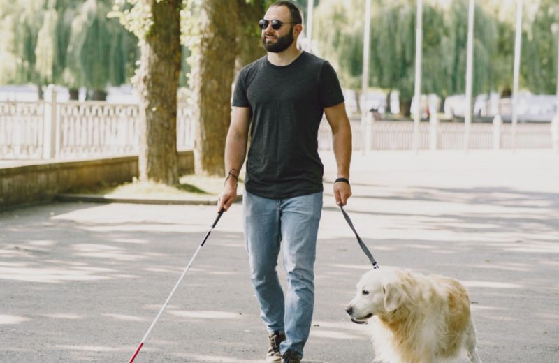 Castilla-La Mancha regulará la Ley de acceso al entorno de las personas con discapacidad acompañadas de perros