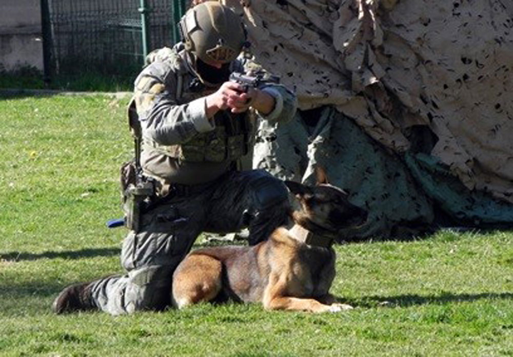 El perro de trabajo en las Fuerzas Armadas