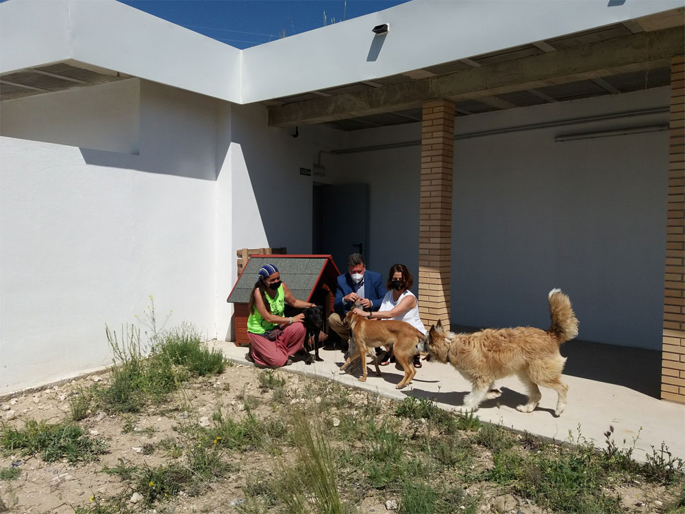 Albergue de perros y gatos en Teruel