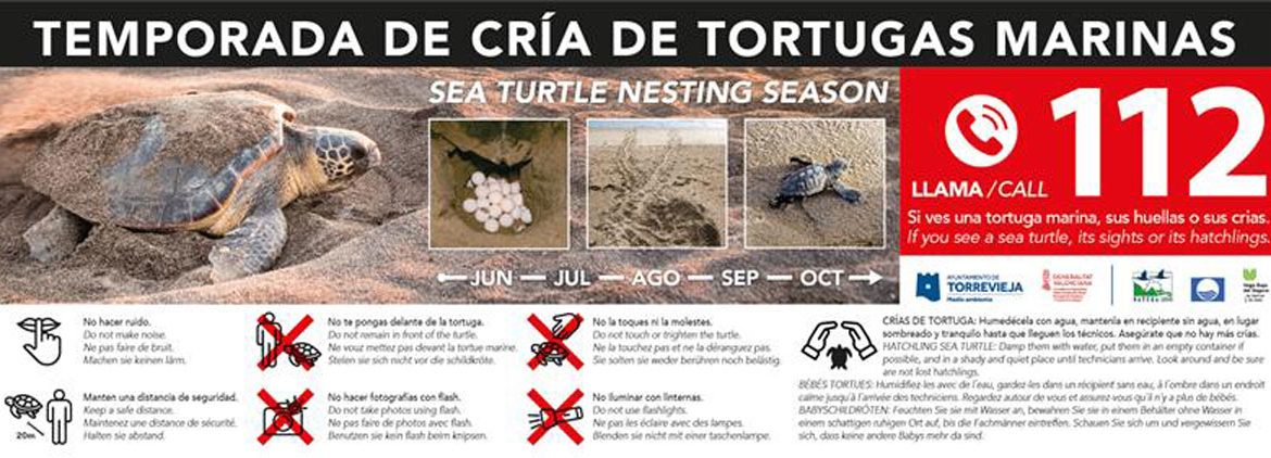 Campaña anual sobre nidificación de tortugas marinas en Torrevieja