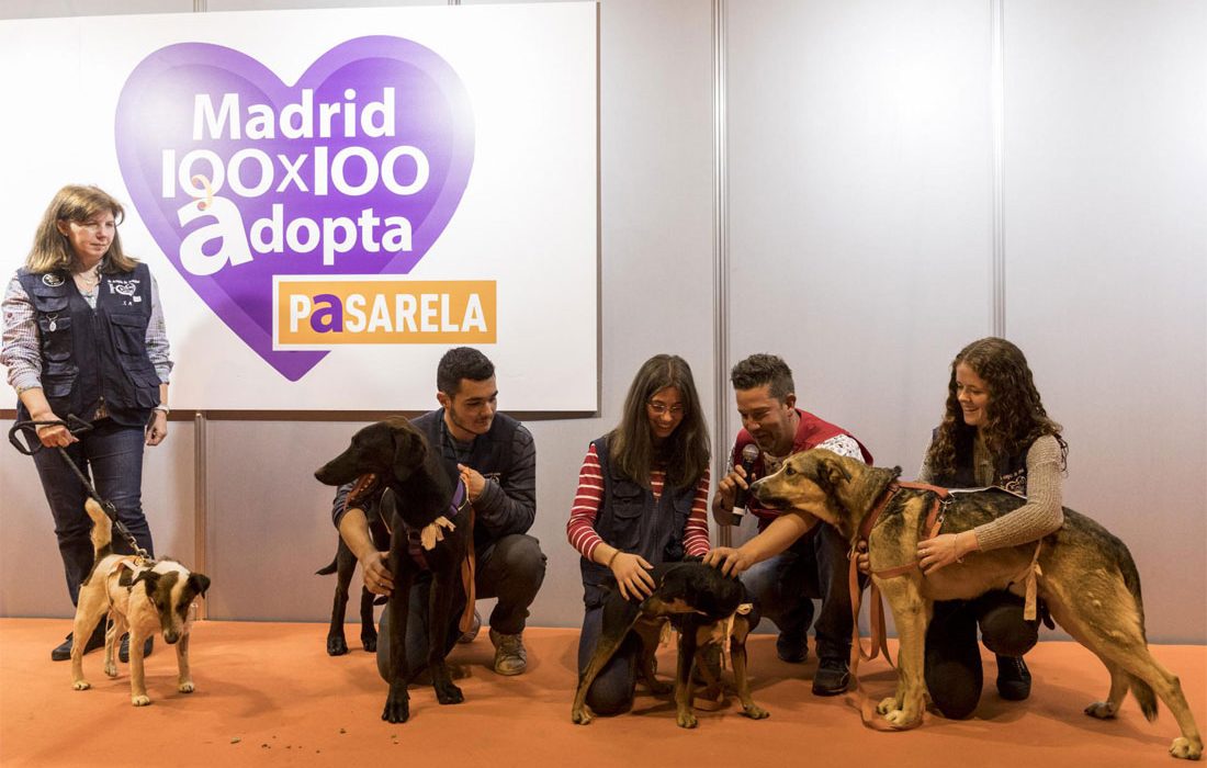 100×100 MASCOTA 2021 convoca la Comunidad de Perros Solidarios