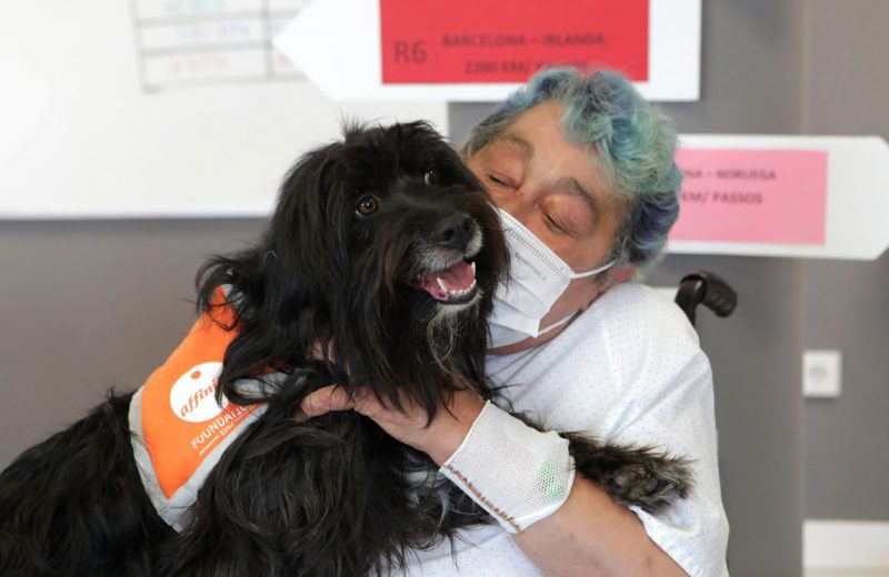 Terapia con perros para fomentar la autonomía de pacientes frágiles