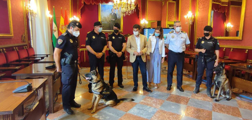 Granada recupera la Unidad Canina de la Policía Local con la reincorporación del perro Stan Lee y de su guía