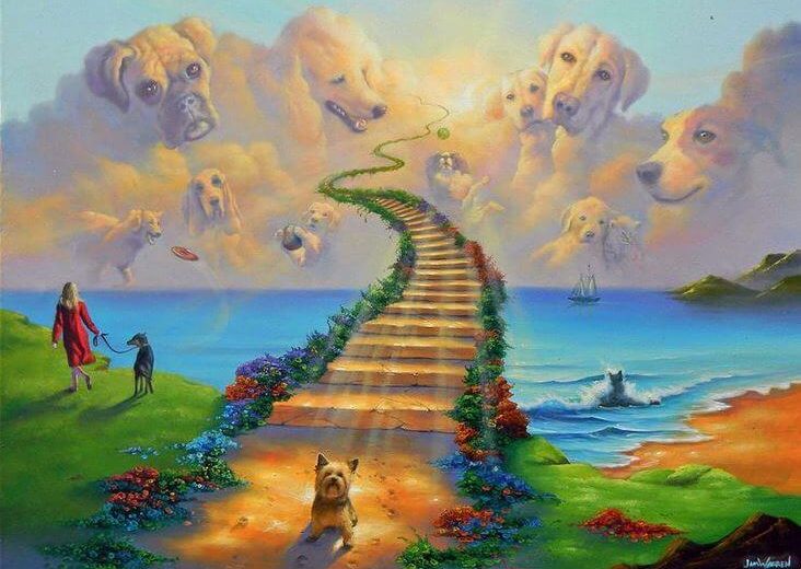 La leyenda del Puente del Arcoíris, el cielo de nuestras mascotas