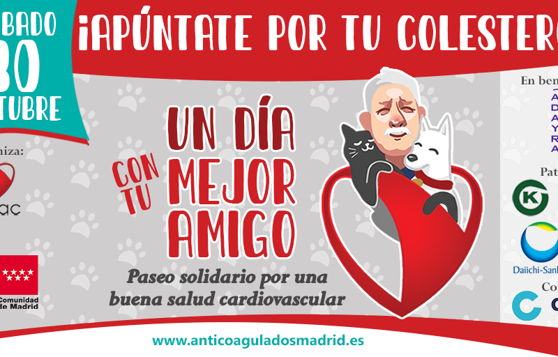 Paseo Solidario en Madrid por una buena salud cardiovascular