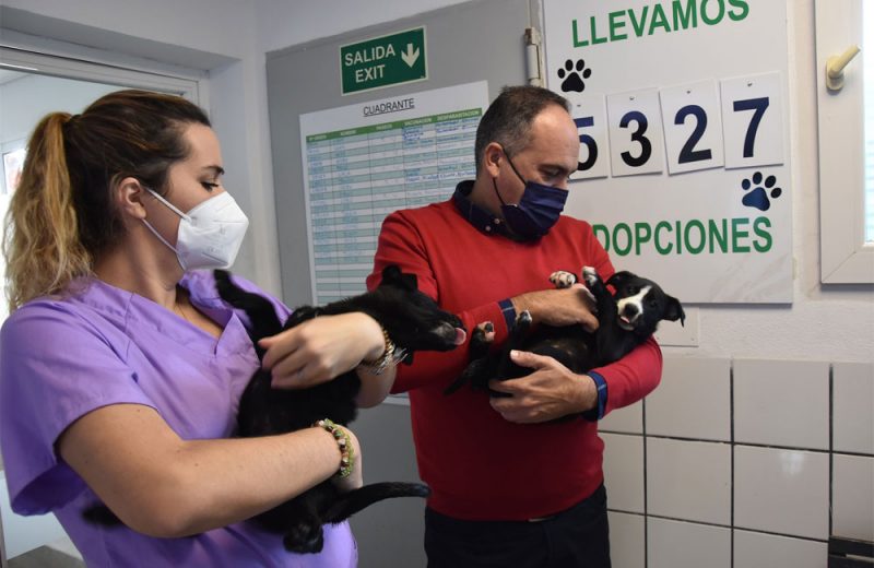 Fuengirola fomenta la adopción de mascotas en el Parque Zoosanitario Municipal