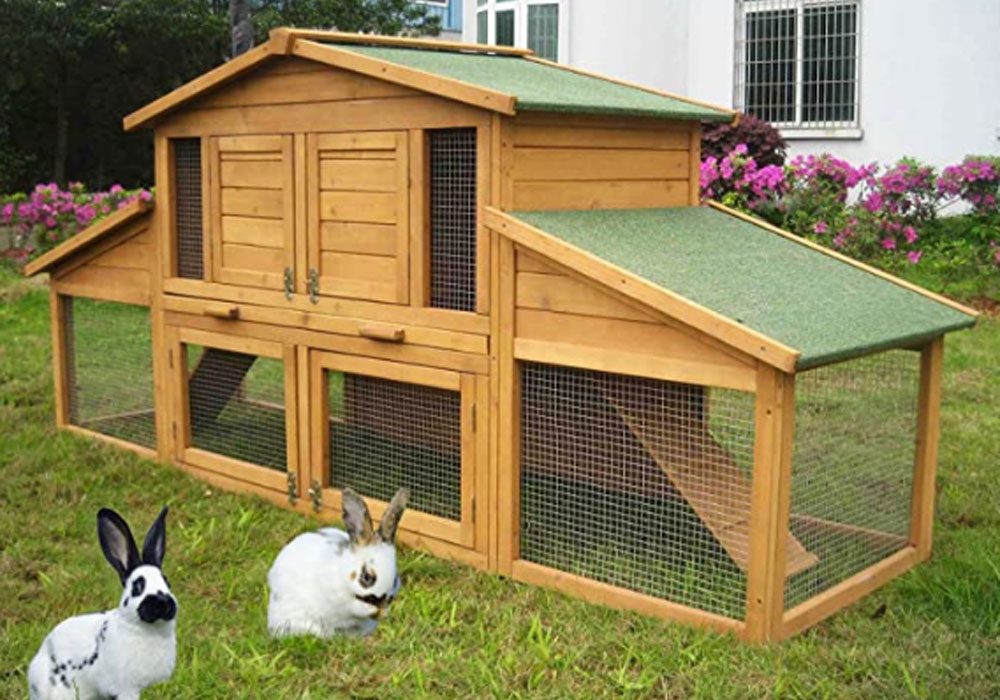 Cómo elegir la residencia ideal para tu conejo
