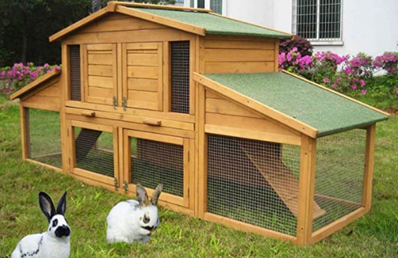 Cómo elegir la residencia ideal para tu conejo
