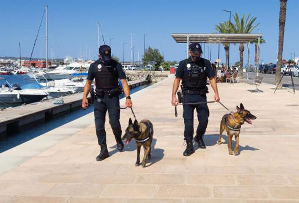 La Policía Local localiza una vivienda en la zona de es Fornàs que funcionaba como guardería canina ilegal